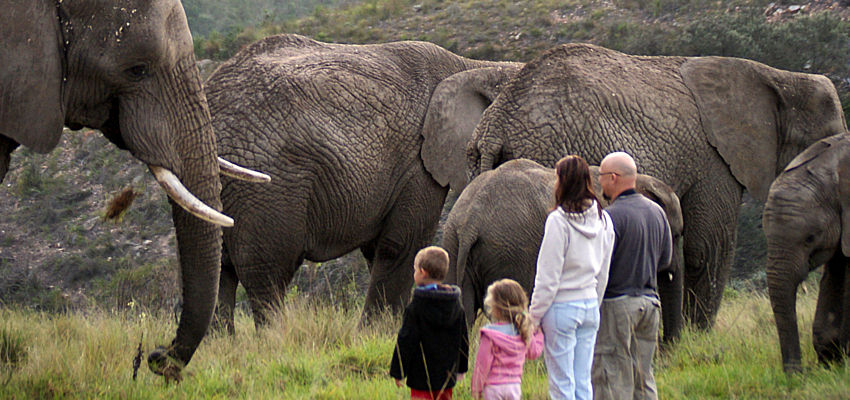 Elephant Park Garden Route