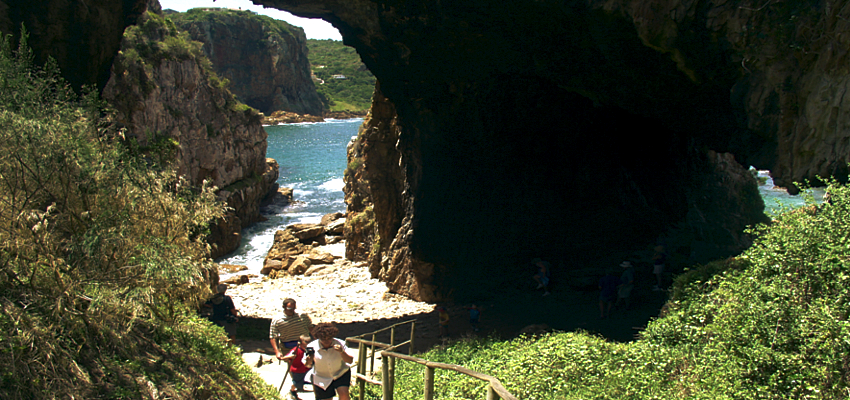 Beautiful Walks in Knysna