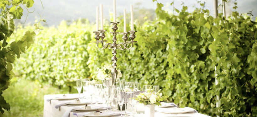 Vineyard spoils