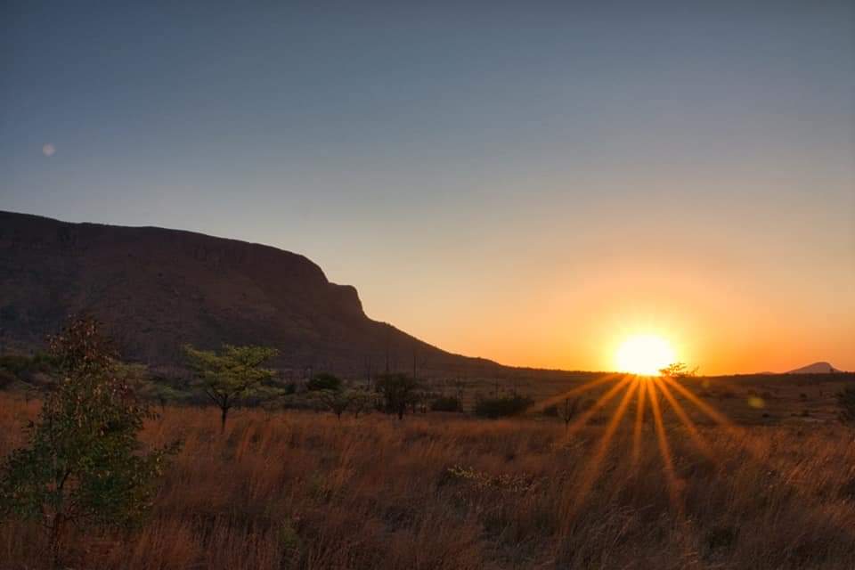 Klipbokkie sunset