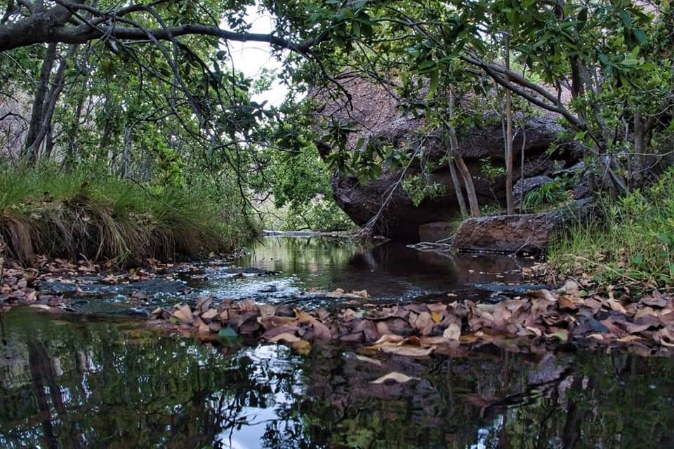 Mountain streams