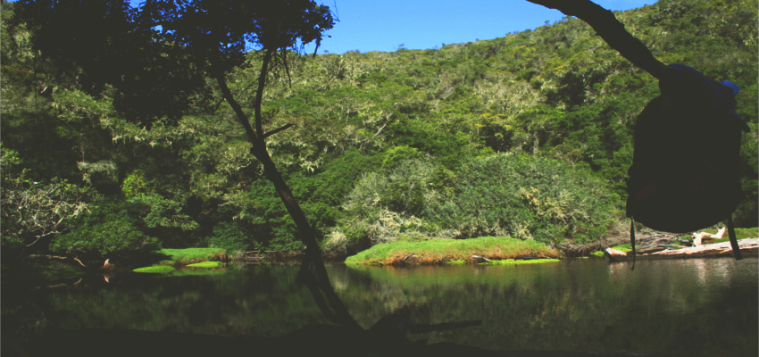 River Hikes around Plettenberg Bay