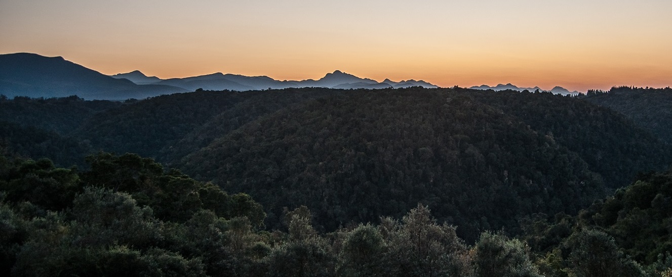 Hog Hollow horse trails Sunrise3