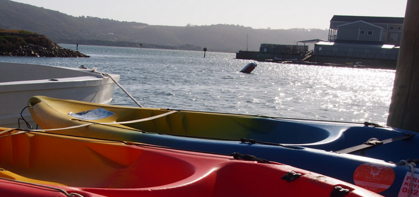 Knysna Kayak Hire