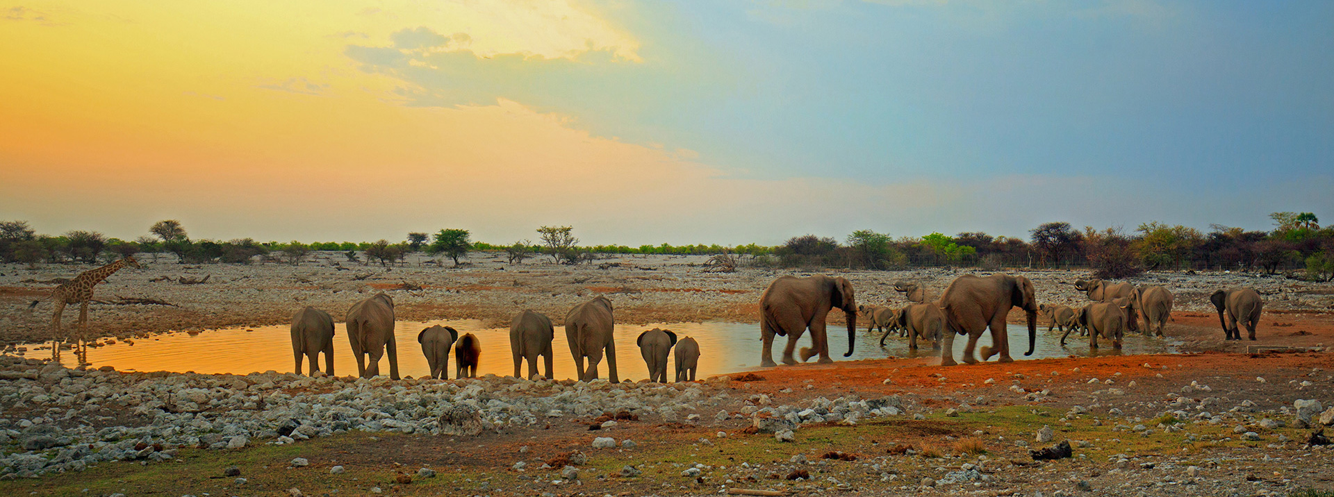 Etosha