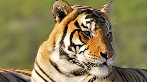 Wildlife Sanctuary