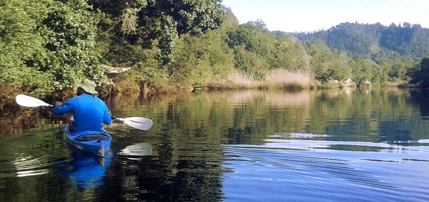 Activities Knysna South Africa