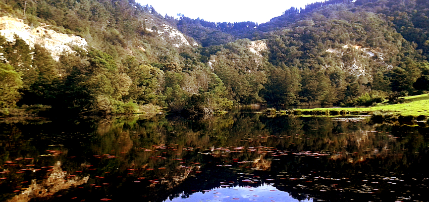 Kayak Tours Knysna