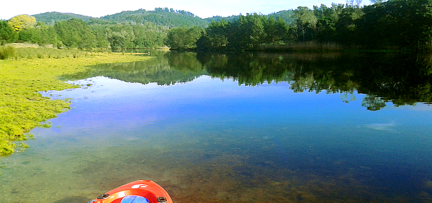 Kayaking on the Knysna River