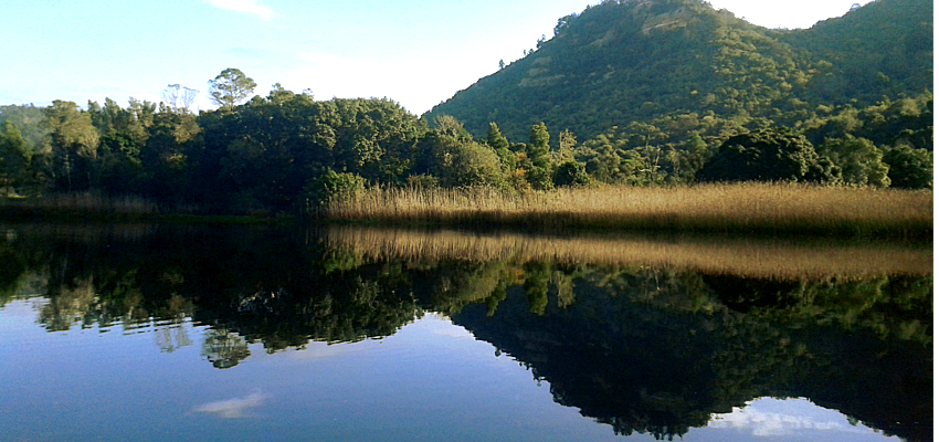 Knysna River Kayaking Tours