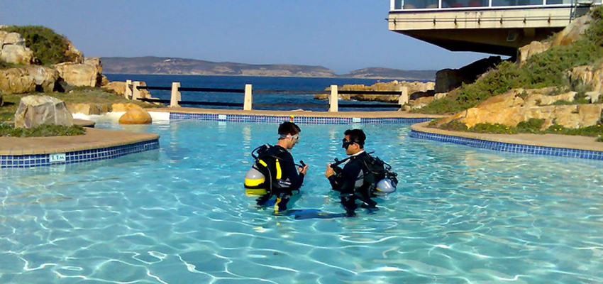 Diving Courses Plettenberg Bay