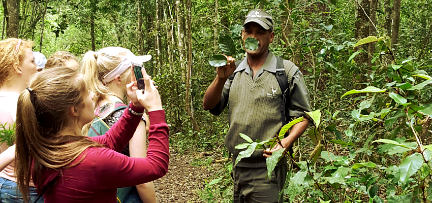 Walking Tours Knysna