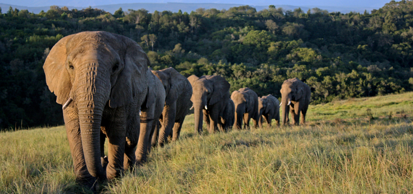 Garden Route Teambuilding Activities