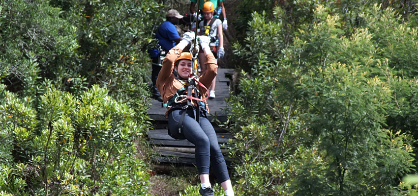 Zipline Tours Tsitsikamma